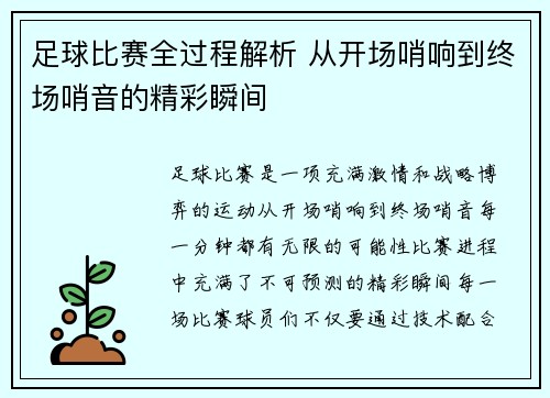 足球比赛全过程解析 从开场哨响到终场哨音的精彩瞬间